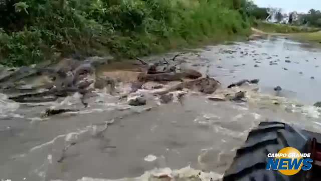 Trator atravessa área alagada lotada de jacarés no Pantanal de MS