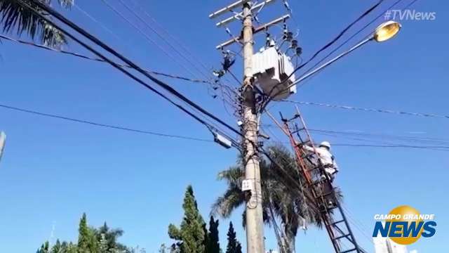 Funcionários da Energisa retira corpo de arara eletrocutada preso à fiação