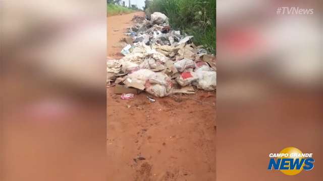 Morador denuncia descarte irregular de carnes em terreno no Nova Lima