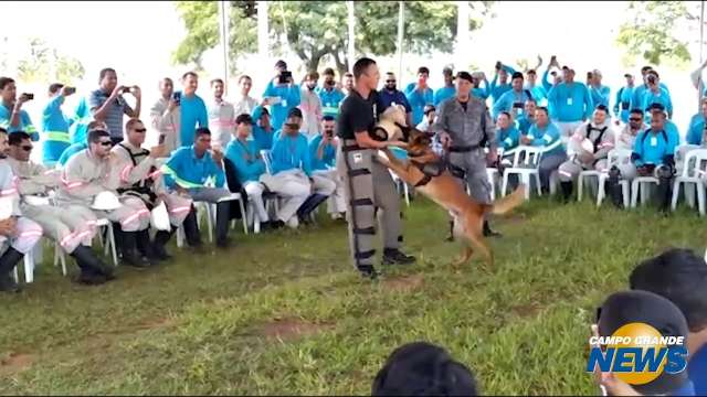 Leituristas e eletricistas passam por treinamento com cães para evitar acidentes