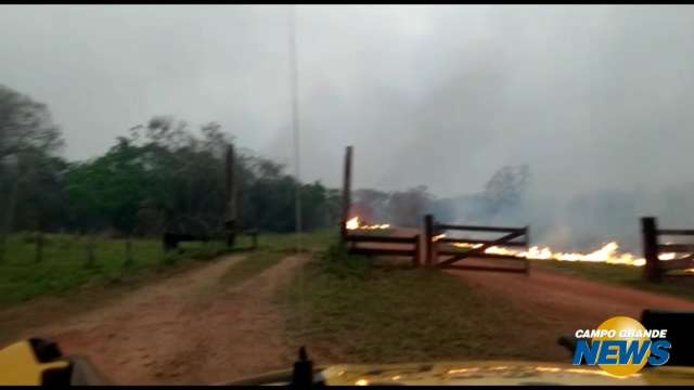 Incêndio devasta vegetação no Refúgio Ecológico Caiman