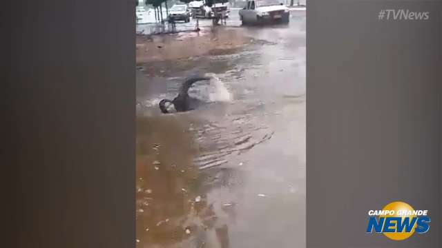 Moradores nadam em poça d&#39;água após chuva no Coophavila II