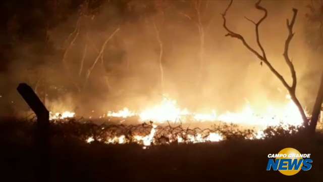 Bombeiros atuam para apagar incêndio na entrada do parque dos poderes