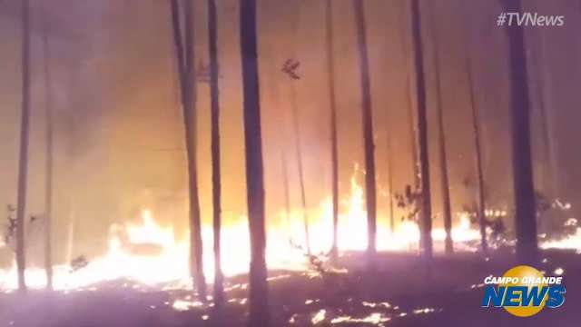 Incêndio em fazendas queima 180 hectares e é controlado após 4 horas