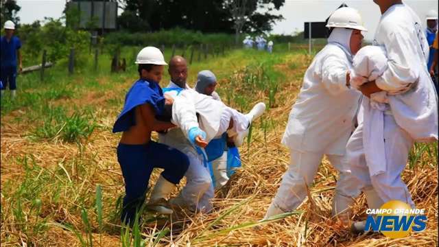 Vídeos mostram frigorífico sendo evacuado após vazamento de amônia