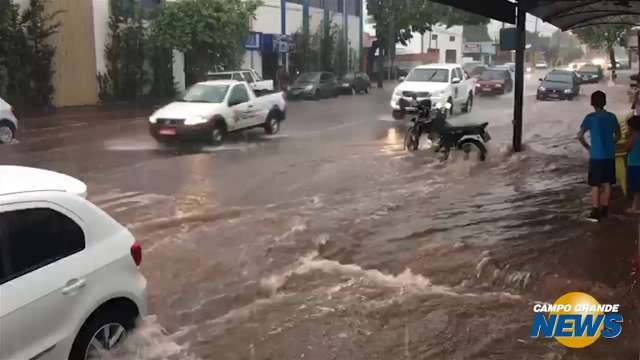 Chuva durou menos de uma hora, derrubou árvore e alagou ruas