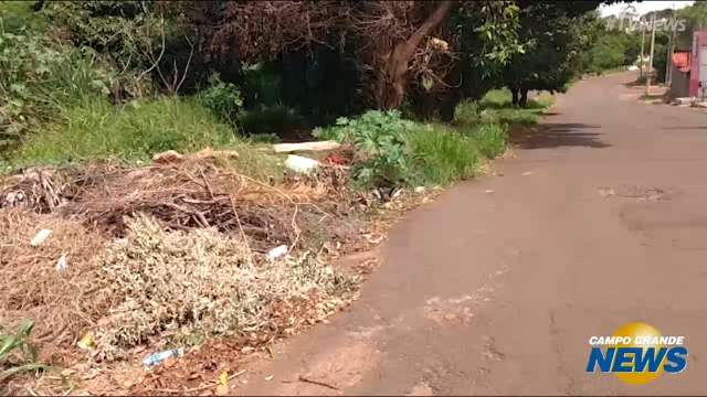 Mal iluminado e com mato alto, terreno abandonado é reduto de usuários de drogas