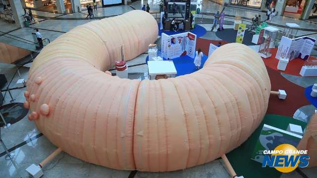 Exposição permite viagem dentro de um intestino gigante