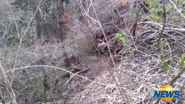 Bombeiros resgatam locutor de loja que caiu da cachoeira do Céuzinho