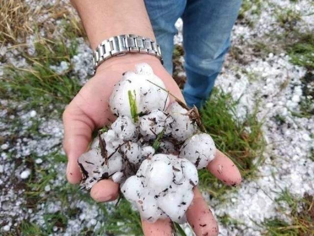 Vegetação após chuva de granizo em municípios de MS