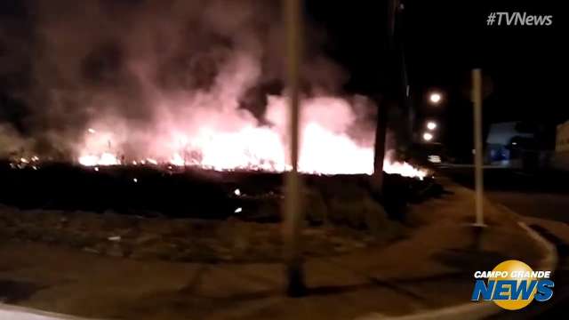 Leitor flagra incêndios em área verde em menos de 300 metros no Jardim Paulista