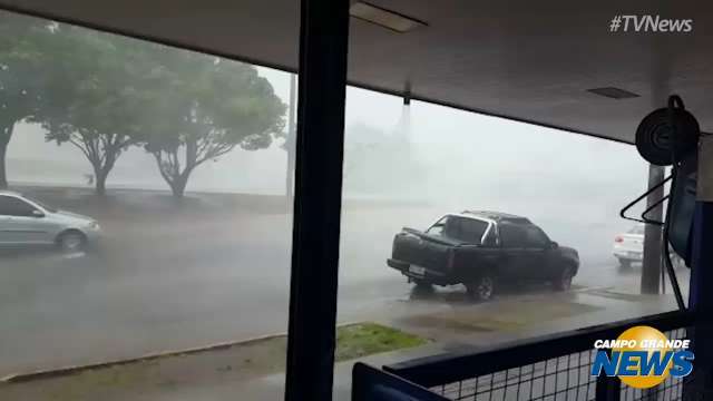 Chuva forte atinge Campo Grande, derruba árvores e prejudica o tráfego