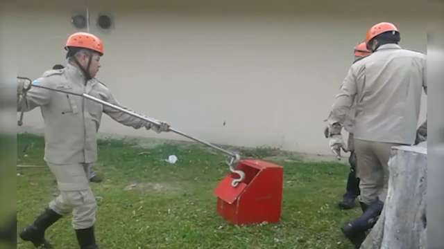 Bombeiros resgatam jiboias encontradas em universidade