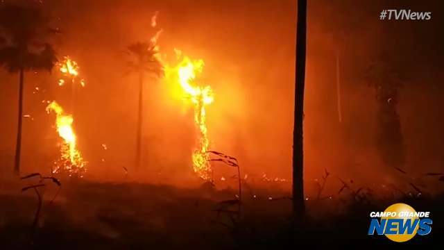 Em meio à fumaça e calor infernal, brigadistas lutam contra chamas