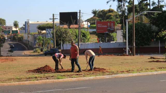 Serviços avançam para instalação de semáforos em rotatória movimentada