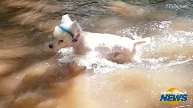 Juca não tem medo do perigo e encara qualquer desafio nas trilhas com os amigos