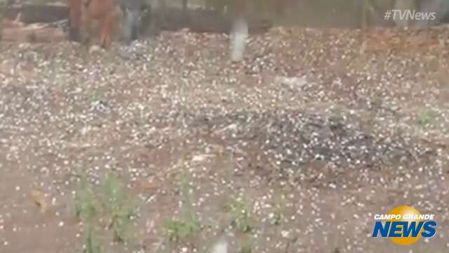 Chuva acompanhada de ventos e granizo durou 40 minutos