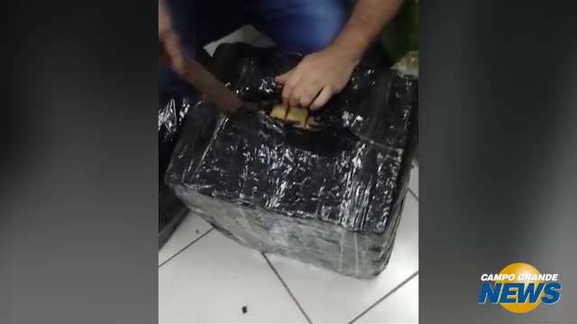 Homem despacha como “pelúcia” mais de 200 kg de maconha