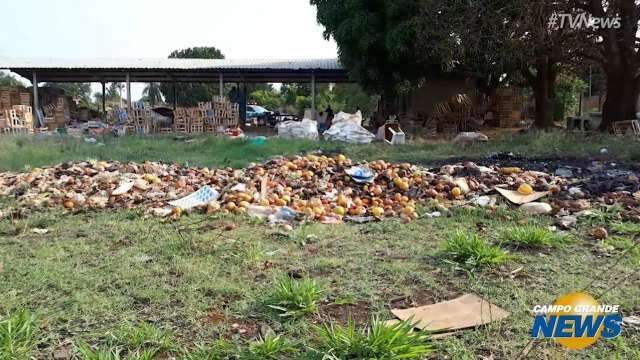 Moradores denunciam descarte irregular de frutas e verduras em terreno baldio