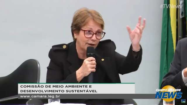 Ministra diz que brasileiros não passam fome por ter mangas nas cidades