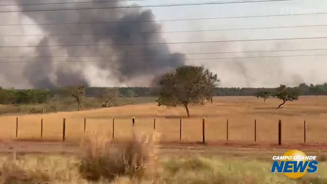 Fogo na BR 262, na região de Três Lagoas