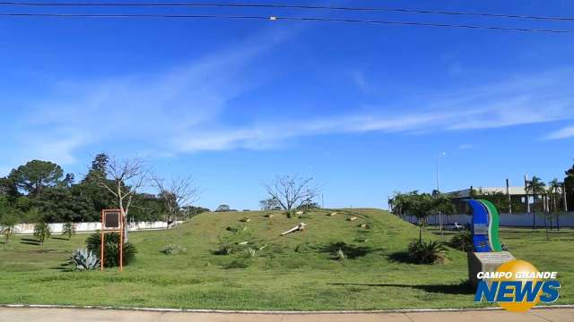 Cartões de visita de Campo Grande, avenidas sofrem sem manutenção