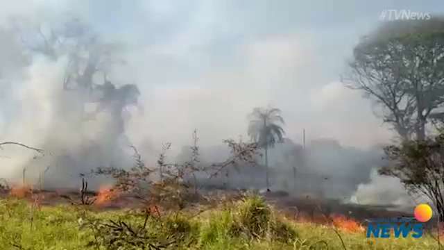 Fogo em vegetação se aproxima de barracos e preocupa moradores em comunidade