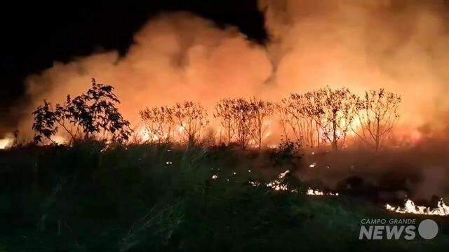 Incêndio em vegetação na BR-163, em Rio Brilhante