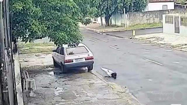 Câmera registra abandono de cachorro no Centro de Coxim