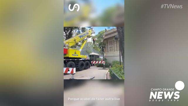 Operação para transportar Pupy