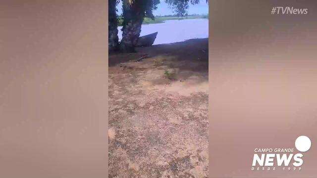Pegadas de onça onde teria ocorrido ataque no Pantanal do Touro Morto