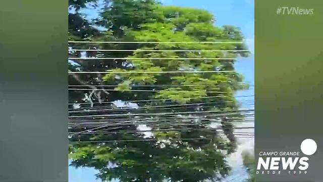 Poste pega fogo no Bairro Santa Fé