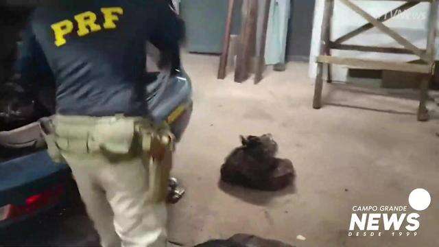 Cargas de cocaína foram apreendidas em Corumbá e Terenos