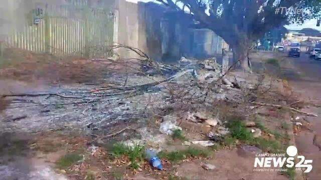 Incêndio em lixo jogado em terreno