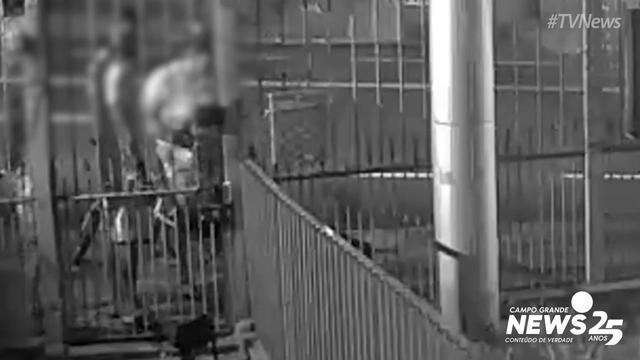 Família abandona cadela em portão de pet shop
