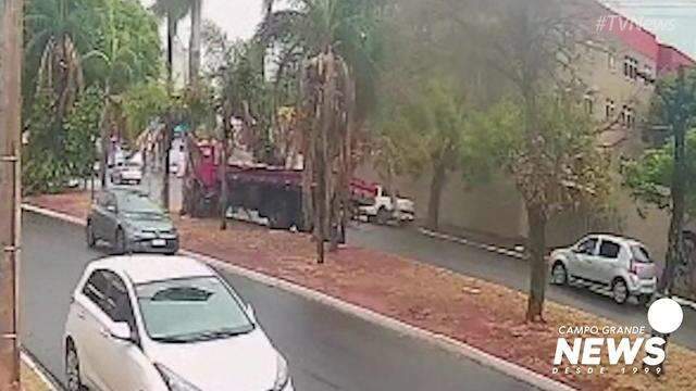 Caminhão bate em árvore na Avenida Mato Grosso