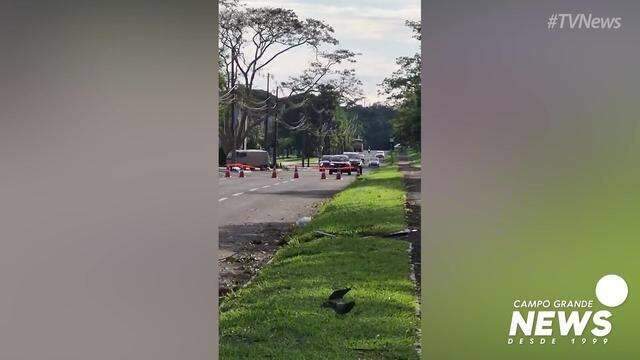 Ressaca na Avenida Afonso Pena, no dia seguinte após temporal