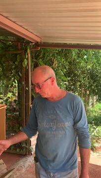 Celso fez de horta à beira de avenida chance para recomeçar 