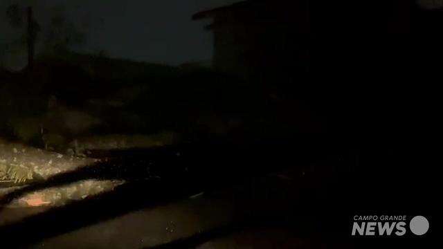 Árvore cai no Chácara Cachoeira