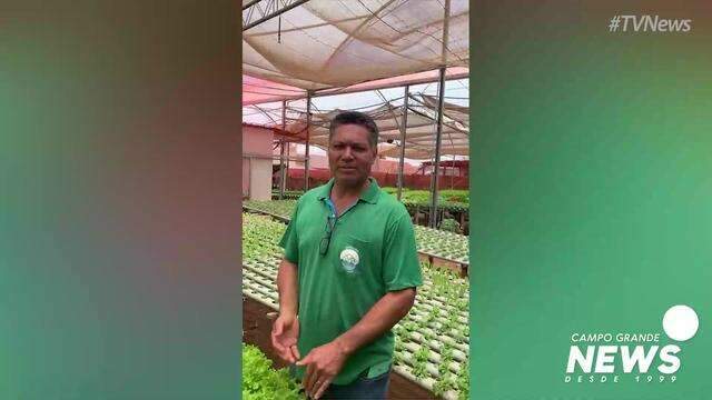 Valmir trocou a farda pela horta e hoje colhe 50 mil pés de hortaliças