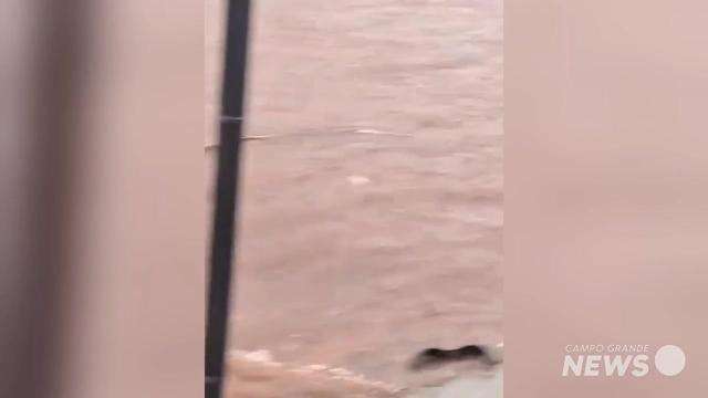 Rua Felipe dos Santos alagada