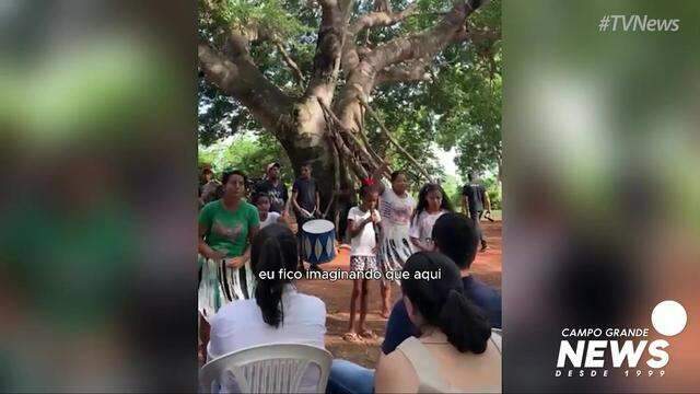 Jatobá gigante já foi casa de família e abrigo na Guerra do Paraguai