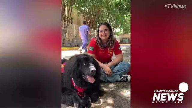 Pandora é “ursa” de 60 kg que virou bombeira e salvou a própria dona