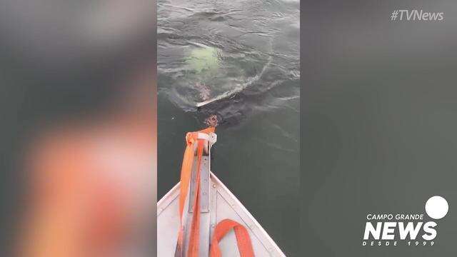 Lancha sendo retirada do Rio Paraná, em Aparecida do Taboado