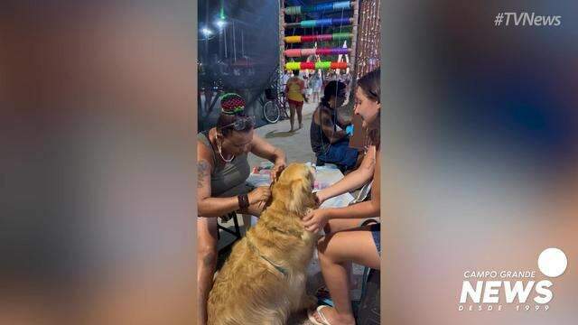 Golden Aldredo fez trancinha pra curtir o mar