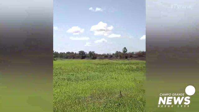 Área de incêndio no Pantanal do Nabileque