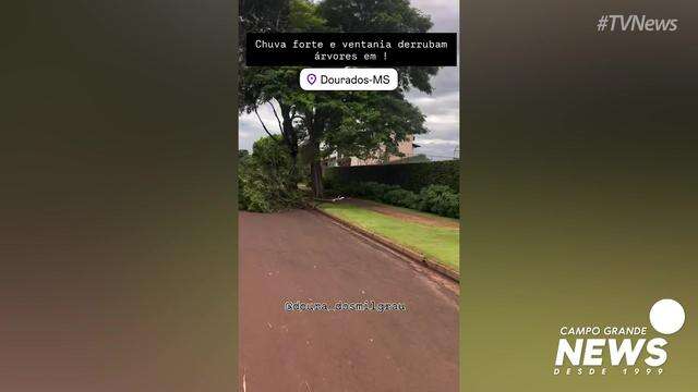 Video mostra estragos apos ventania em Dourados