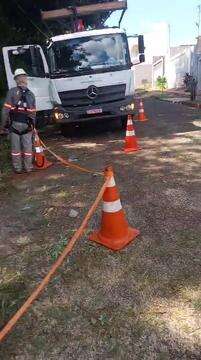 Árvore que ameaça cair