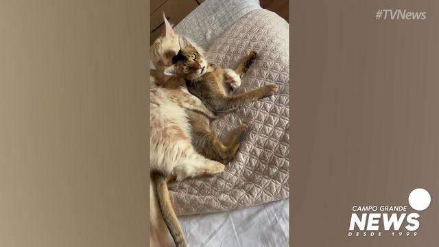 Júpiter e Saturno têm um forte vínculo