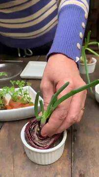 Aprenda a fazer mini-horta na pia da cozinha com tampas de legumes